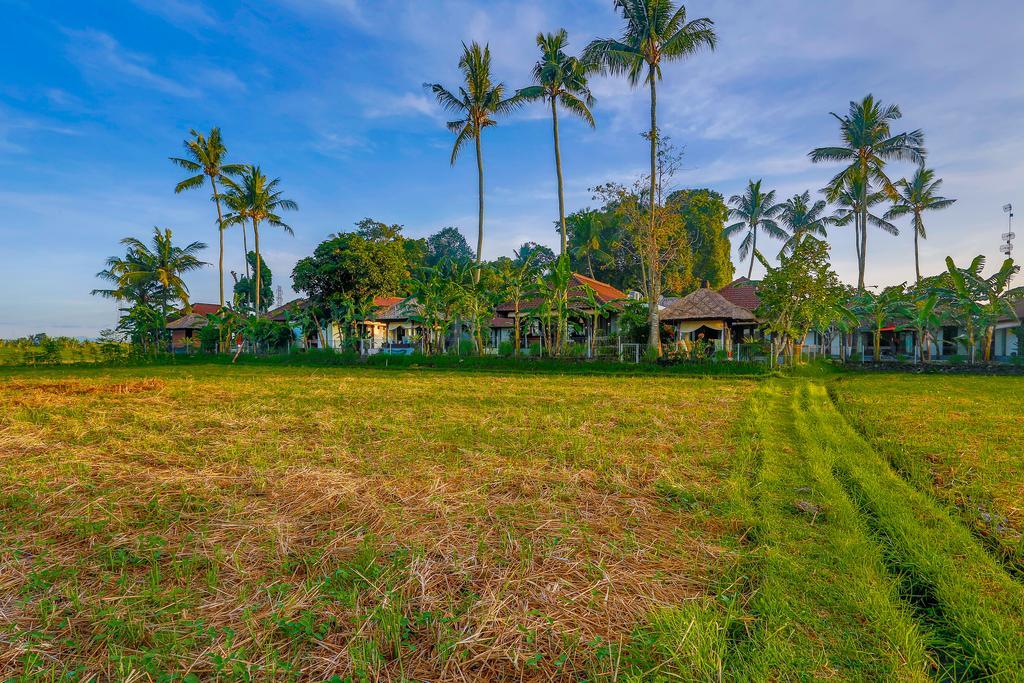 Villa Kaba Kaba Resort Чангу Екстер'єр фото