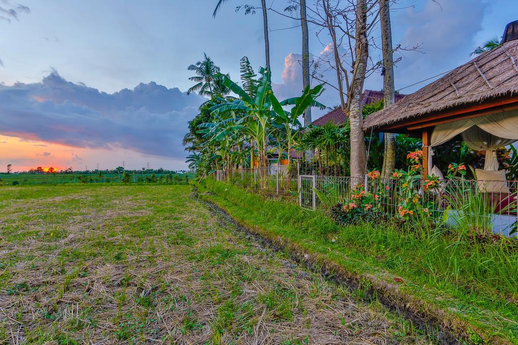 Villa Kaba Kaba Resort Чангу Екстер'єр фото
