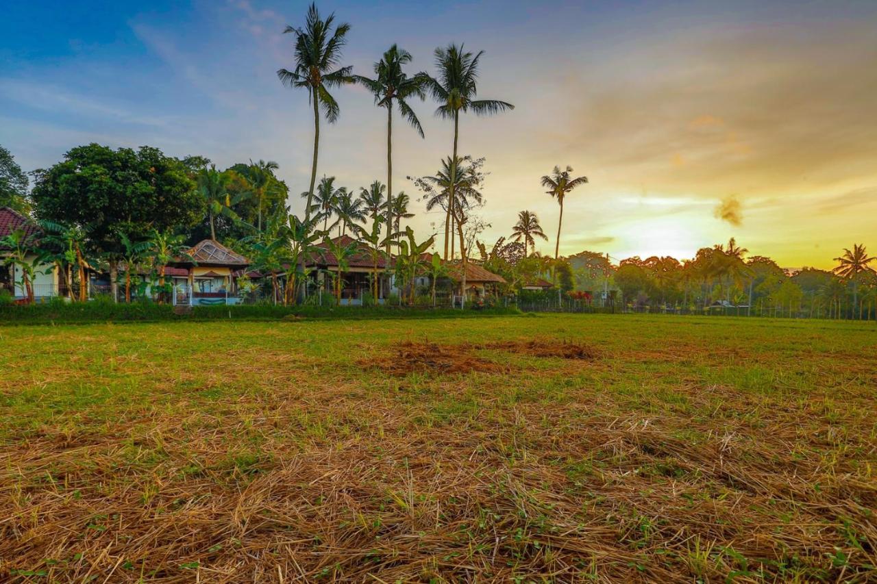 Villa Kaba Kaba Resort Чангу Екстер'єр фото